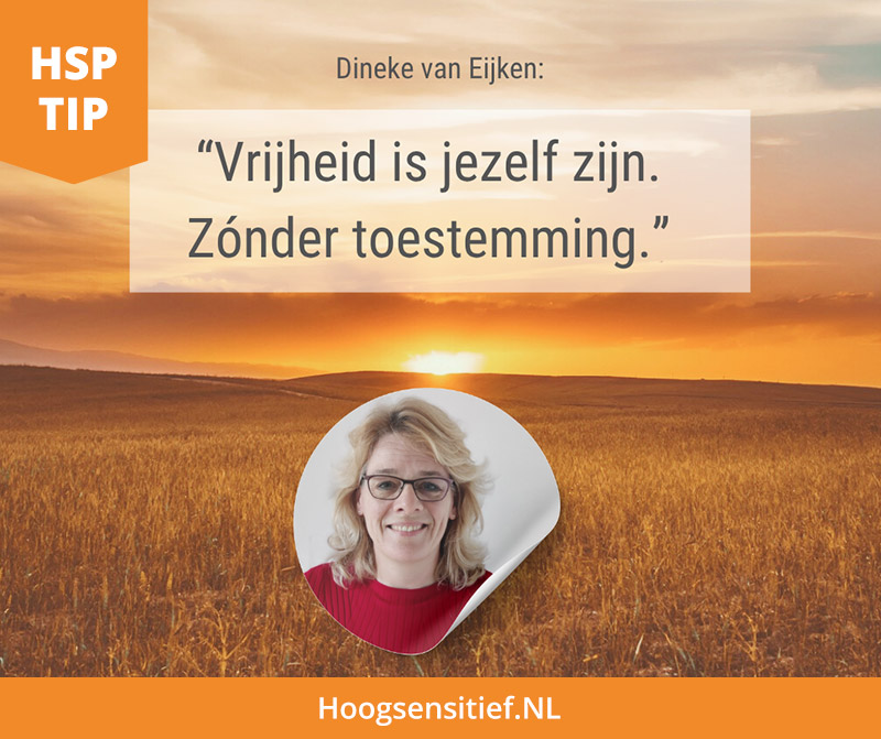Dineke van Eijken